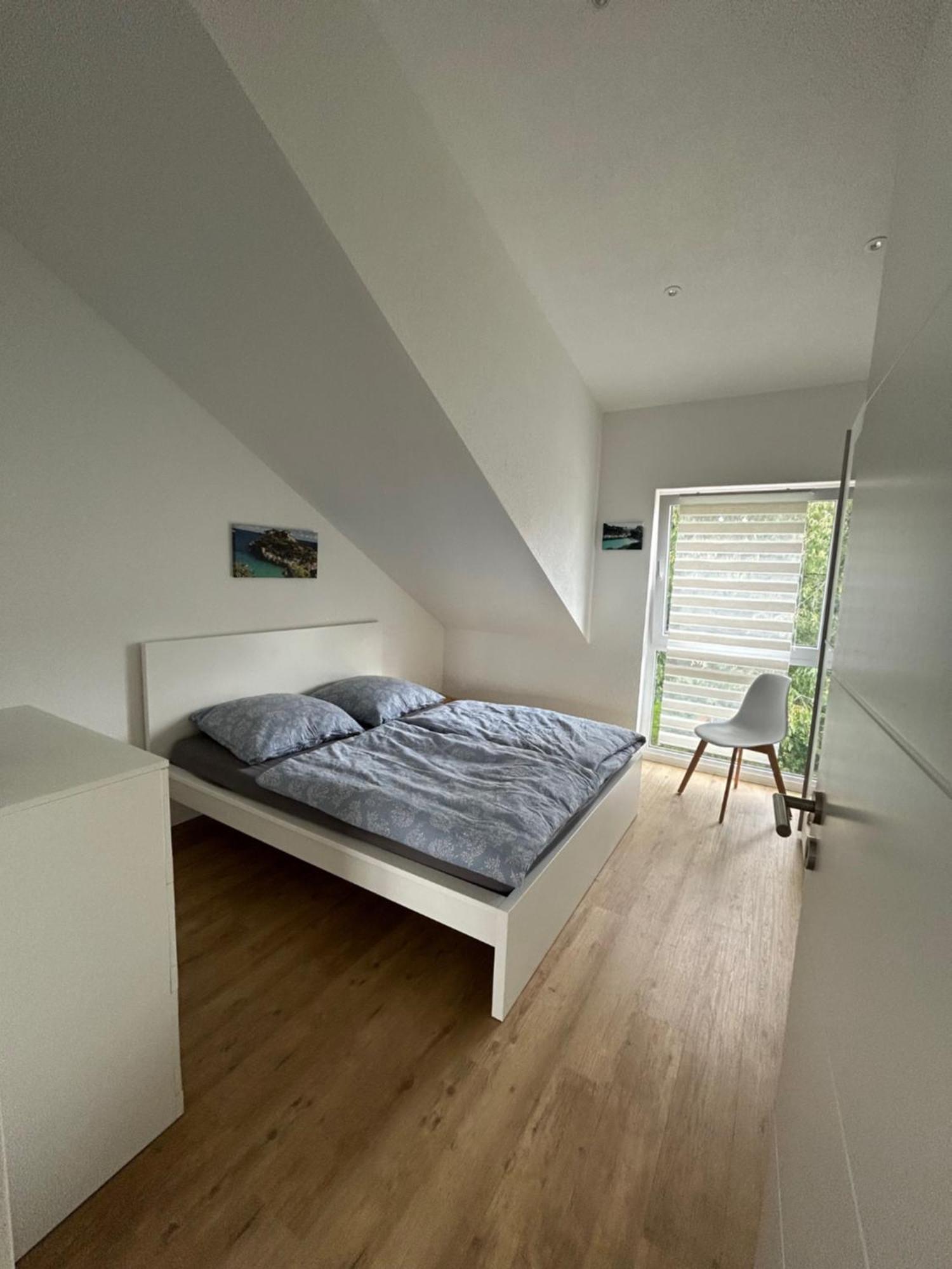 Panorama Suite 20 Sinsheim Zewnętrze zdjęcie